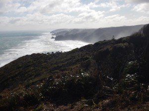 Cape Reinga-103